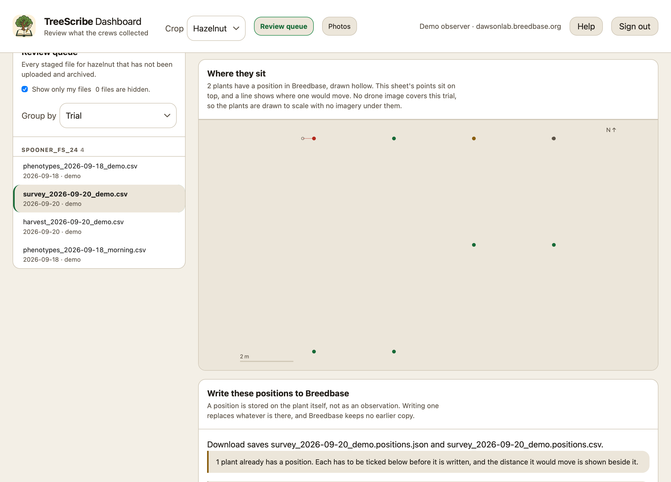 Surveyed positions and deaths are reviewed plant by plant and written to Breedbase only after a person has looked at them.